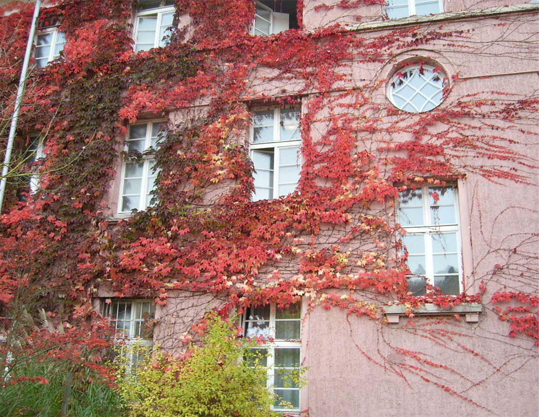 Erstes Headerbild der Anzeige